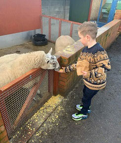 Hayrack Church Farm Meet and Feed the animals