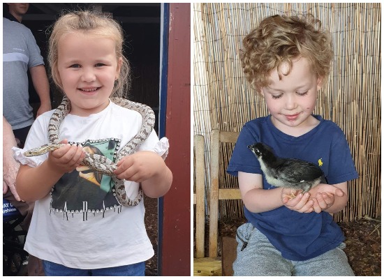 Meet the Animals - Show and Tell at the Hayrack Farm Park