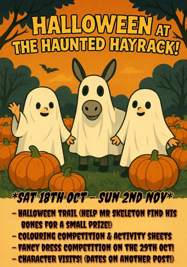 Halloween at the Hayrack Church Farm