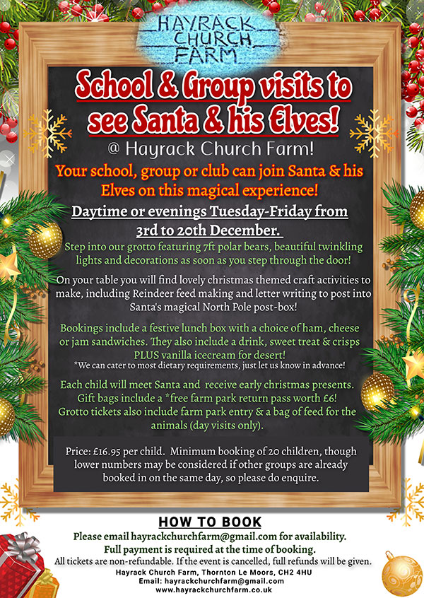 Santa's Grotto - Schools and Groups