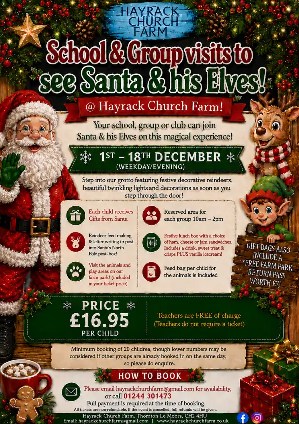 Santa's Grotto - Schools and Groups